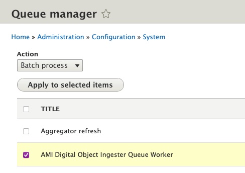 AMI Queue Manager Batch