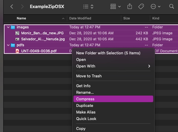Example ZIP OSX