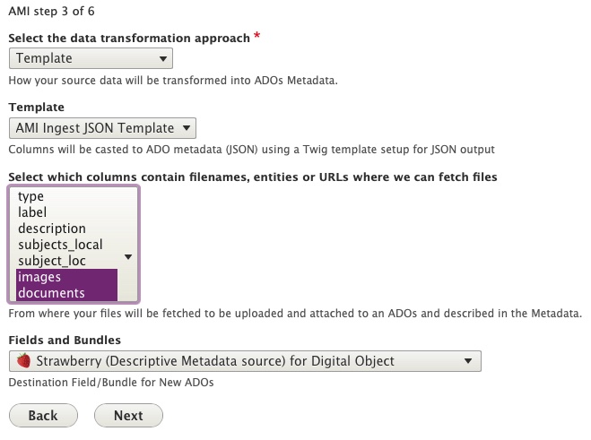 AMI Step 3 Data Transformation Mappings