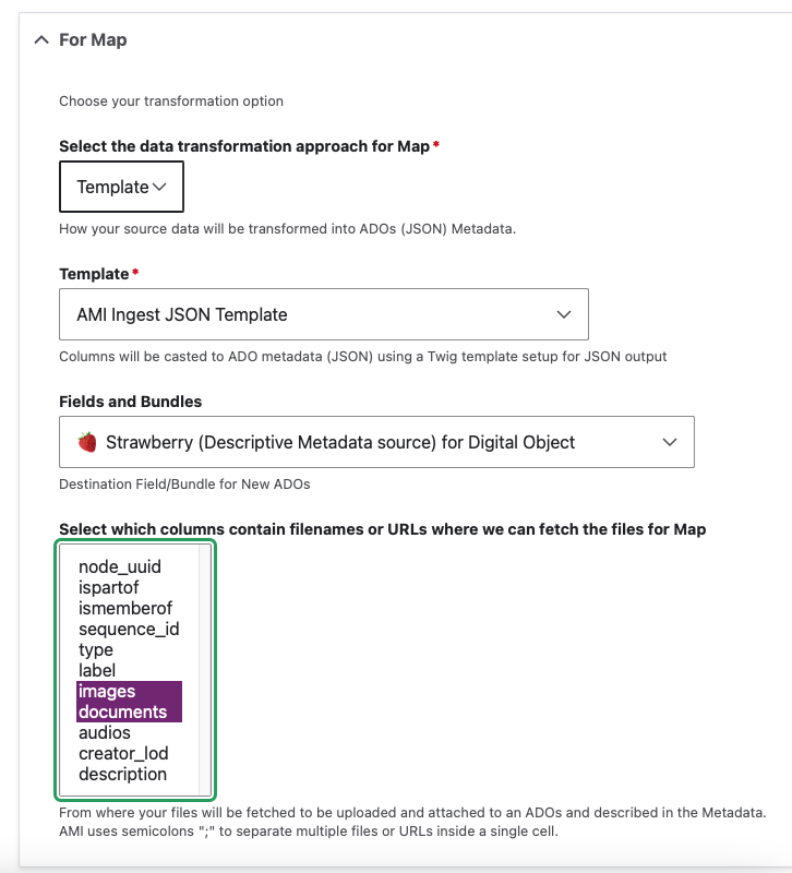 AMI Custom Digital Object Mappings