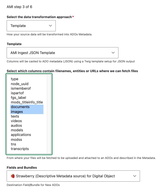 Islandora Solr Importer Data Transformation
